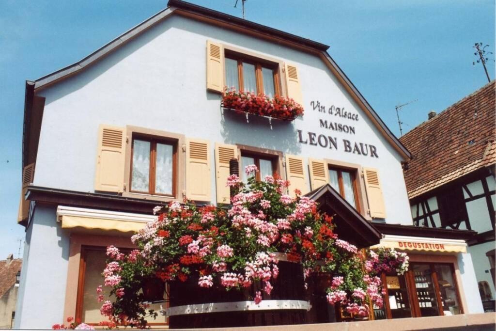 Le Victoria A Eguisheim, 4-6 P, 3Etoiles Villa Bagian luar foto